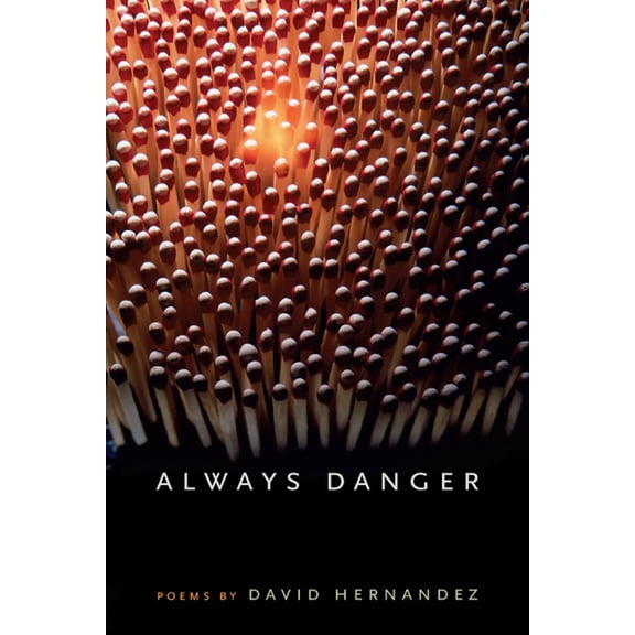 Pre-Owned Always Danger (Paperback) 0809326914 9780809326914