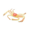 thumbnail image 1 of Crab, Spider Crab, Museum Quality, Hand Painted, Rubber Crustaceans, Realistic Toy Figure, Model, Replica, Kids, Educational, Gift, 7" CH271 BB124, 1 of 7