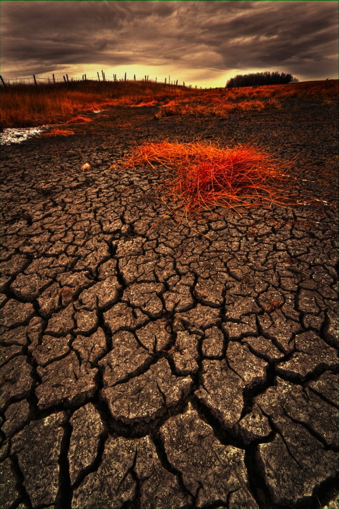 Cracked Parched Earth And Stormy Skies With Fence Posts On The Horizon Alberta Canvas Art - Dan Jurak Design Pics (11 x 17)