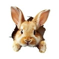 thumbnail image 1 of Cracked-Wall Bunny Sticker – Easter Rabbit Wall Decal – Peel & Stick Waterproof Vinyl Decoration for Doors, Windows, Walls or Furniture – Funny Spring Room Decor, 1 of 5
