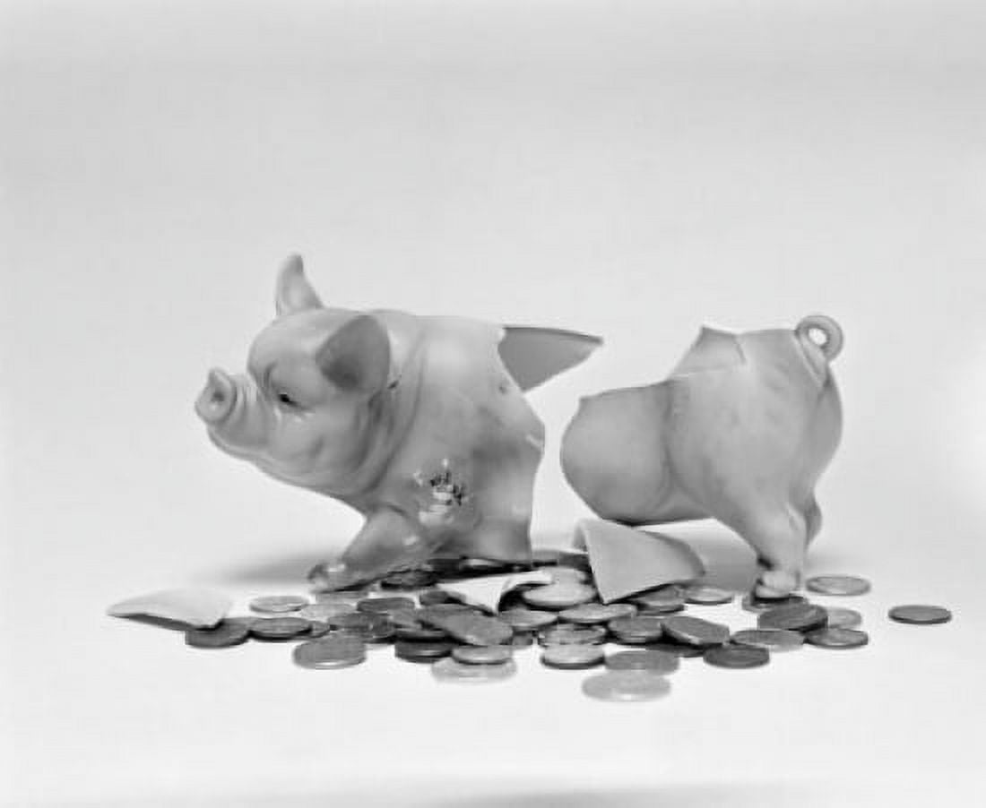 Cracked piggybank Canvas Art - (24 x 36)