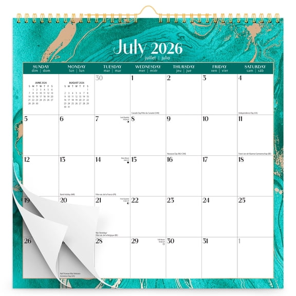 Crackled Blush | 2027 12x12" (Hanging) 18 Months Wire-O Calendar | July 2026 - December 2027