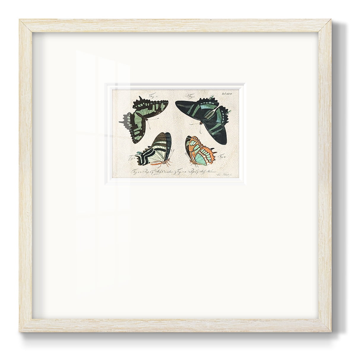 Crackled Butterflies IIIPremium Framed Print