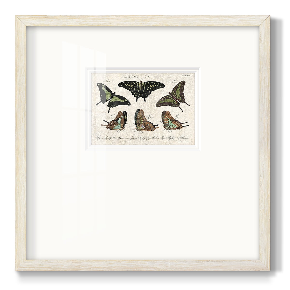 Crackled Butterflies IIPremium Framed Print