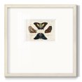 thumbnail image 1 of Crackled Butterflies IVPremium Framed Print, 1 of 5