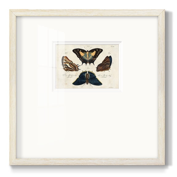 Crackled Butterflies IVPremium Framed Print