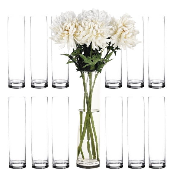 Craft And Party 20" Cylinder Vase 12 pcs, Heavy Duty Glass Vases Wedding PartyTable Decor Centerpieces