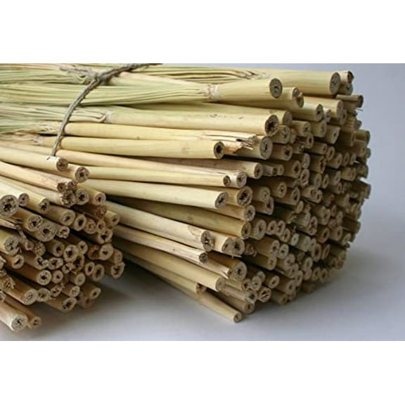 Craft Broom Corn with Stalks 24-36" Length