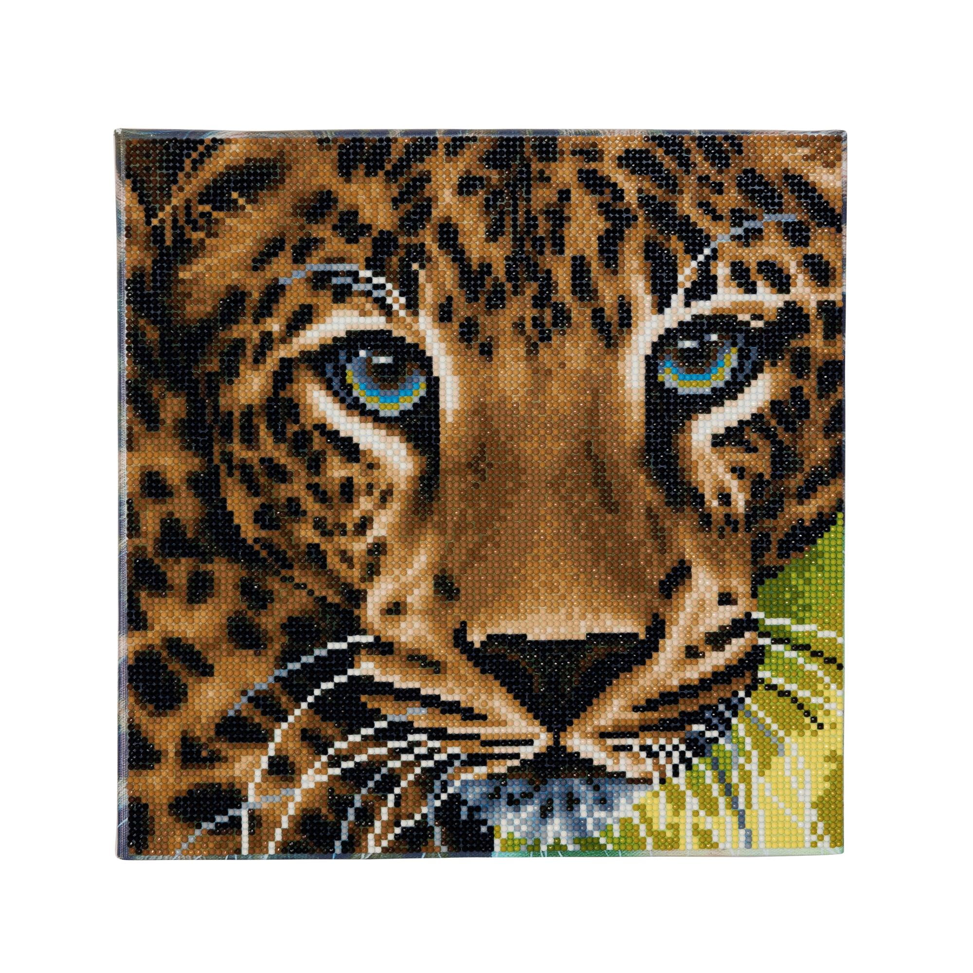 Craft Buddy 30cm x 30cm Framed Crystal Art Kit