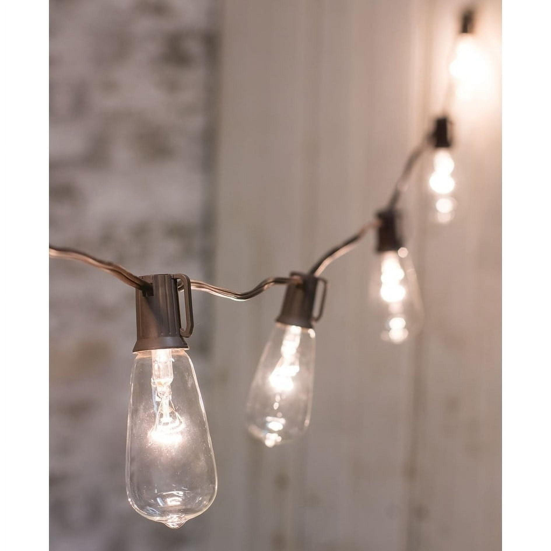 10-Foot Clear Edison Outdoor String Lights with Brown Cord