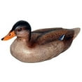 thumbnail image 1 of Craft-Tex 15302HP 7" Mallard Hen, 1 of 1