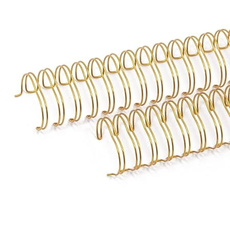 Craftelier - Set of 2 Double Ring Spiral Binders for Albums, Notebooks, Diaries or Calendars | Ideal for Scrapbooking and Other Crafting Projects | 2.54 cm (1") - Gold Colour