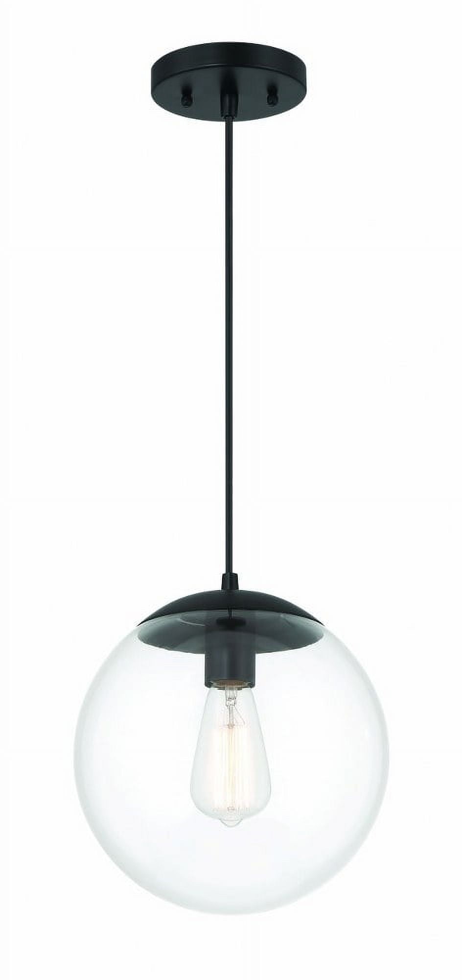 Modern Black Globe Pendant Light with Clear Glass Shade