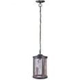 thumbnail image 1 of Craftmade Lighting - Madera - 1 Light Large Outdoor Pendant In Transitional, 1 of 2