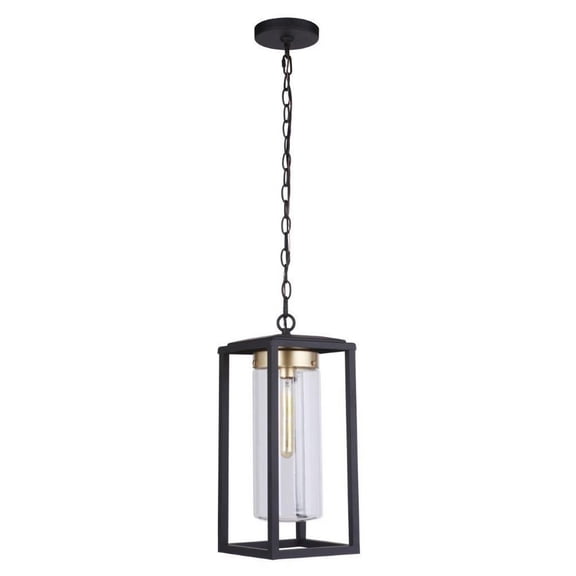Craftmade Lighting - Neo - 1 Light Outdoor Pendant In Transitional Style-18