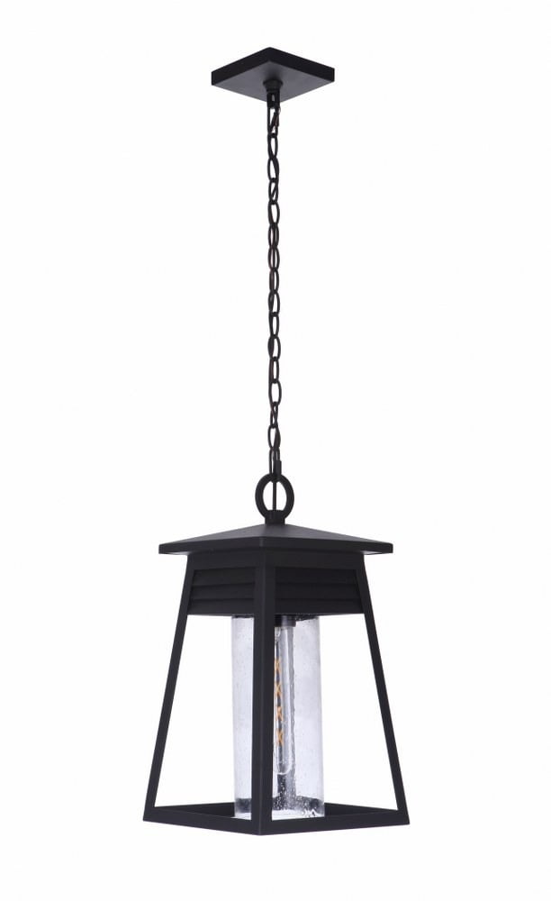 Becca Matte Black 10" Outdoor Pendant with Clear Seeded Glass