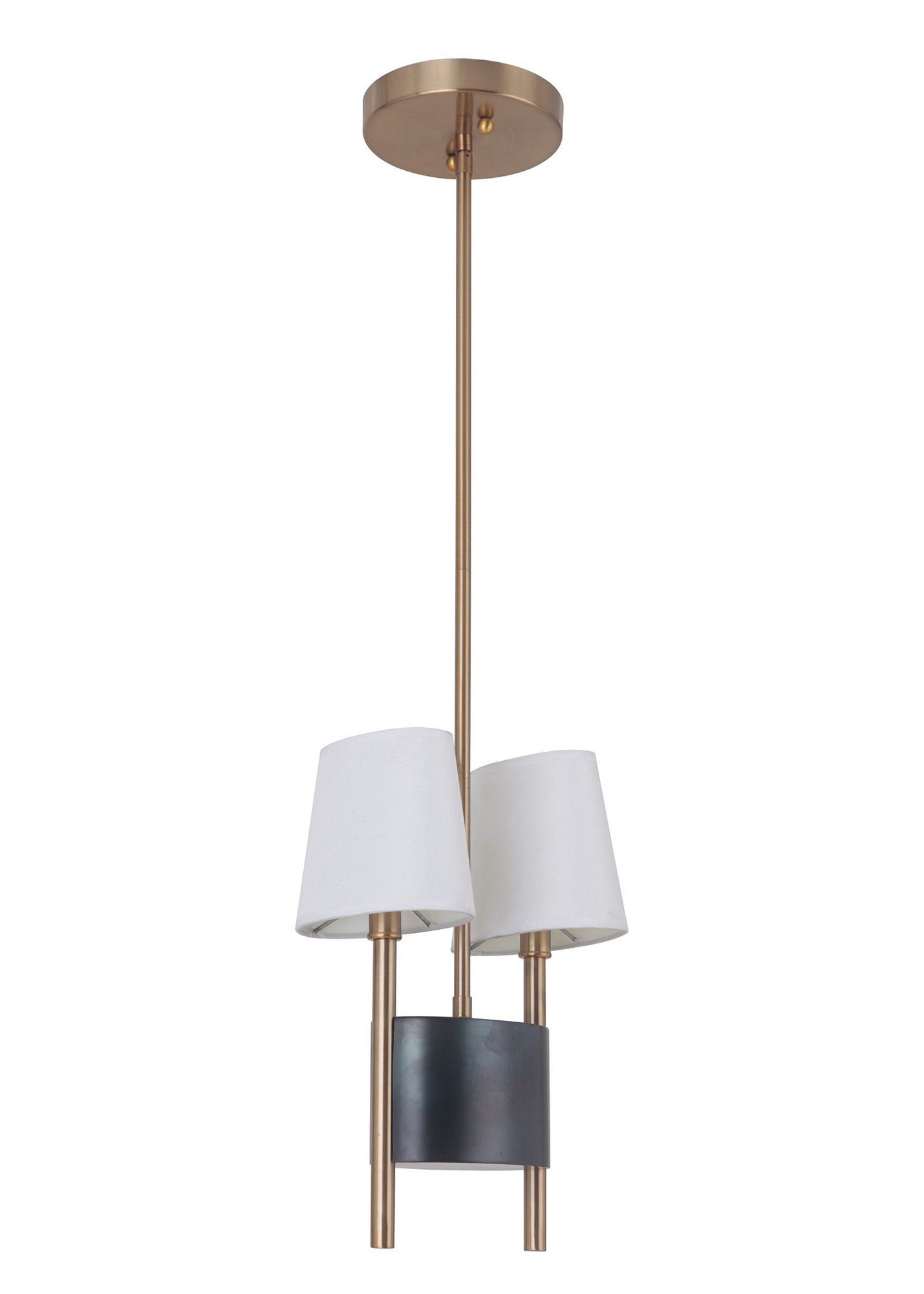 Parker Fired Steel and Satin Brass 14'' Pendant Light