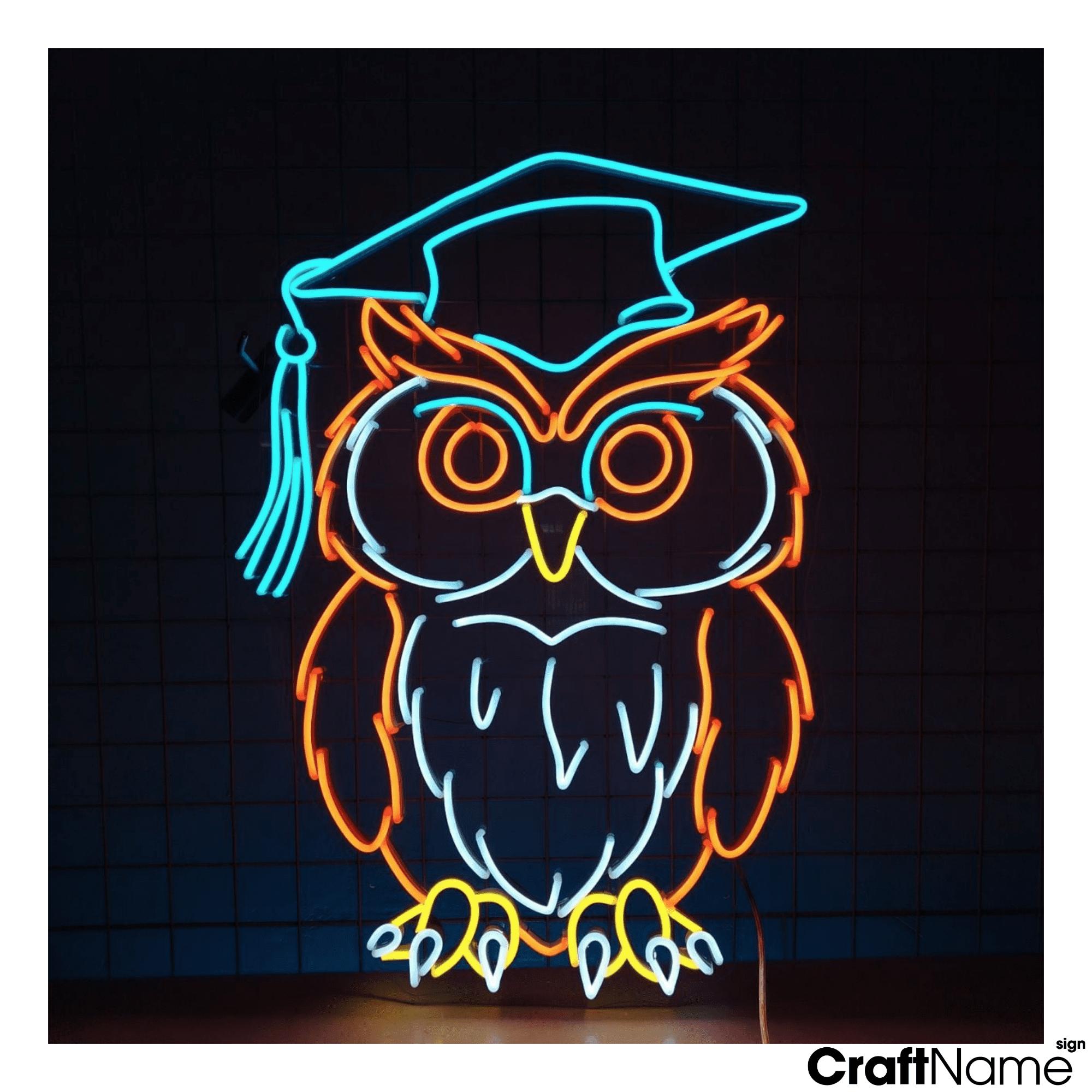 Craftnamesign Owl Graduation Cap Neon Light Wall Sign For Classroom Decoration