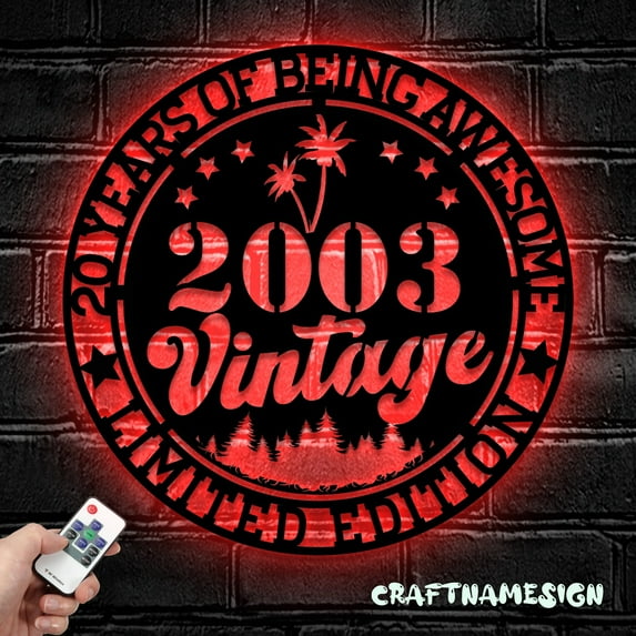 Craftnamesign Vintage 2003 Metal Wall Art LED Light, 2003 Metal Wall Art LED Light, Birthday Decor