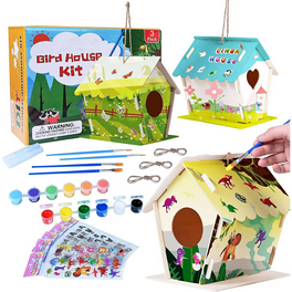 Kid DIY Wooden Bird House Paint and Decorate Arts Crafts DIY Bird House Kit  - China Bird House and Wooden Bird House price