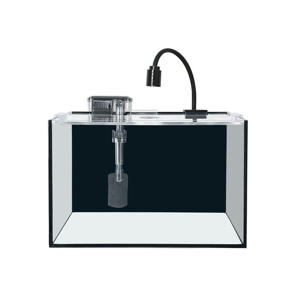 Craftsboys 2.8Gal Glass Aquarium Starter Kit with Filter, Light, Cover, 11.8*7.8*7.1 inch