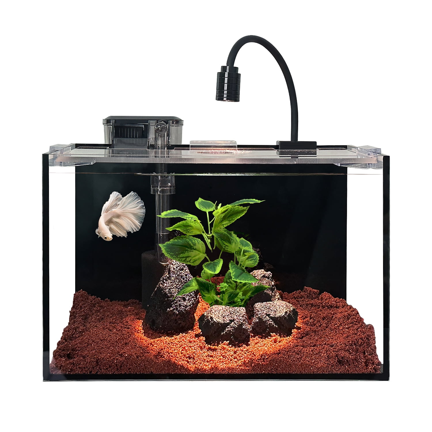 Aquarium Kit With Live Plants Included: Ultimate Freshwater Starter Guide
