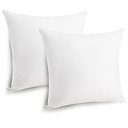 13x22 Pillow Form