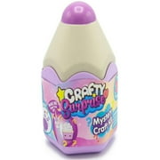 Crafty Surprise Core Mystery Craft Kit Pack RANDOM Color!