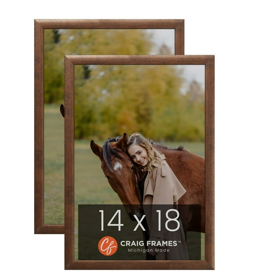 Craig Frames 14x18 Rustic Copper Picture Frame, Set of Two