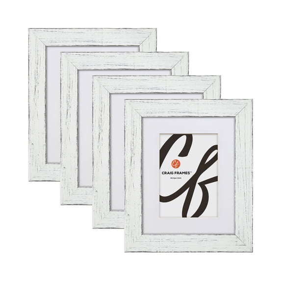 Craig Frames 17x22 inch Rustic Barnwood White Picture Frame Matted for a 13x19 Photo, Set of 4