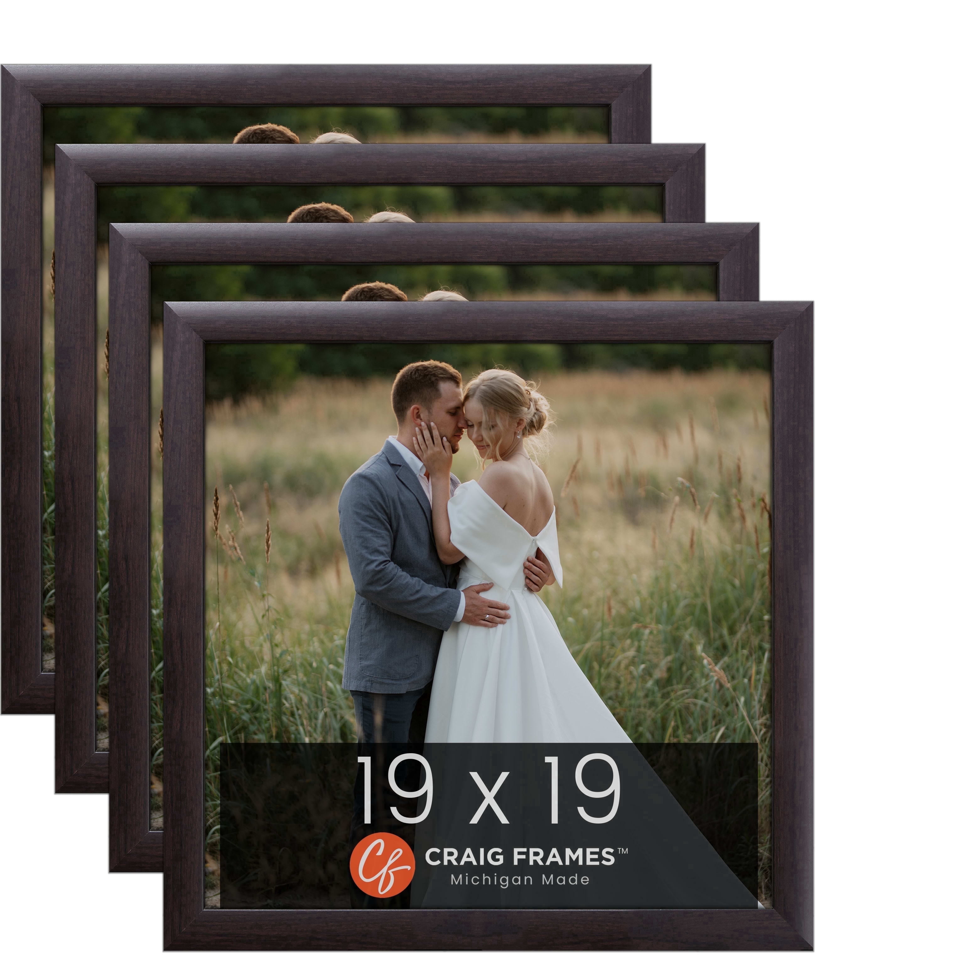 Craig Frames 19 x 19 inch Picture Frame Brazilian Walnut Brown, Set of ...