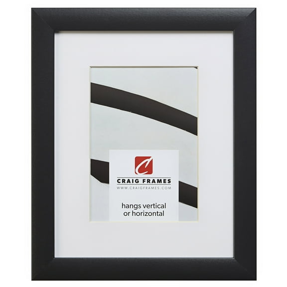 Craig Frames 1WB3BK 14x18 inch Black Picture Frame Matted for a 10x13 Photo