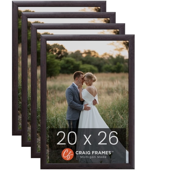 Craig Frames 20 x 26 inch Picture Frame Brazilian Walnut Brown, Set of Four