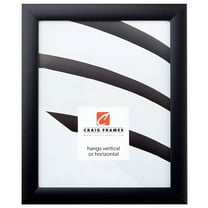 Craig Frames 20x24 Black Picture Frame 1-Inch Wide Smooth Black Gallery Rounded Moulding