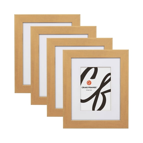 Craig Frames 20x26 Inch Gold Picture Frame Matted to Display a 16x22 Inch Photo, Set of Four