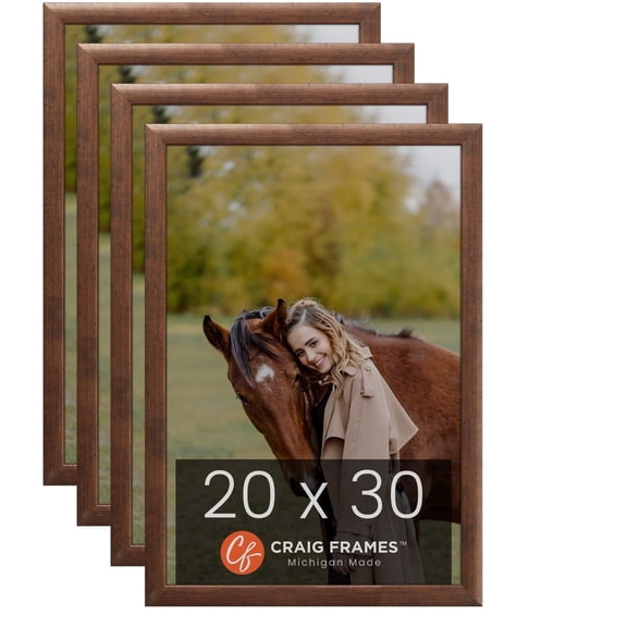 Craig Frames 20x30 Rustic Copper Picture Frame, Set of Four