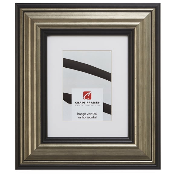 Craig Frames 21307202 24x32 inch Aged Silver and Black Picture Frame Matted for a 20x28 Photo