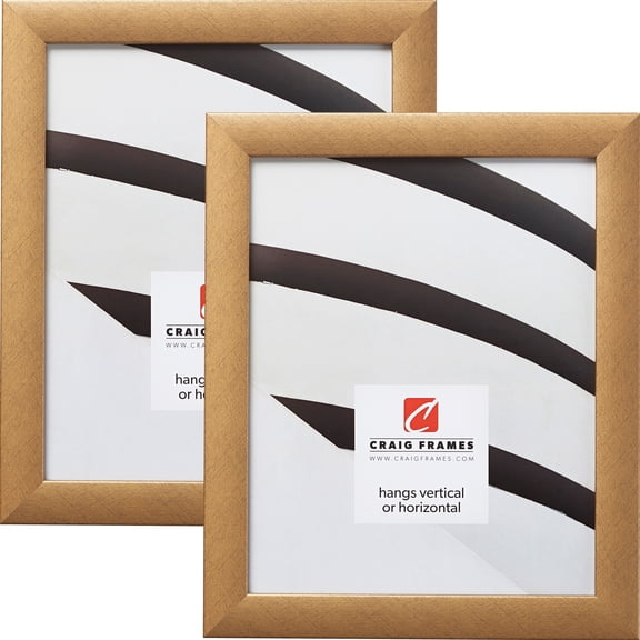 Craig Frames 23247006 19 x 25 Inch Picture Frame, Distressed Gold, Set of 2