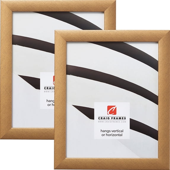 Craig Frames 23247006 20 x 20 Inch Picture Frame, Distressed Gold, Set of 2