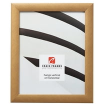 Craig Frames 23247006 Picture Frame, 22x28 inch, Distressed Gold