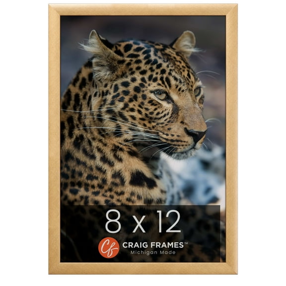 Craig Frames 23247006 Picture Frame, 8x12 inch, Distressed Gold