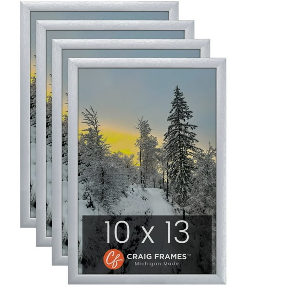 Craig Frames 23247018 10 x 13 Inch Picture Frame, Brushed Silver, Set of 4