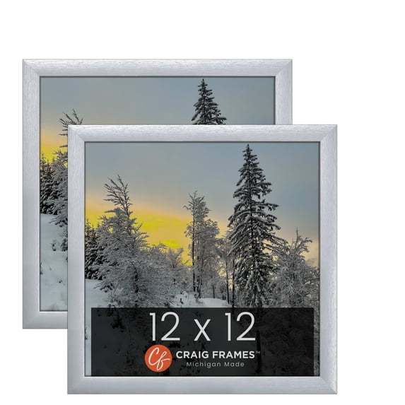 Craig Frames 23247018 12 x 12 Inch Picture Frame, Brushed Silver, Set of 2