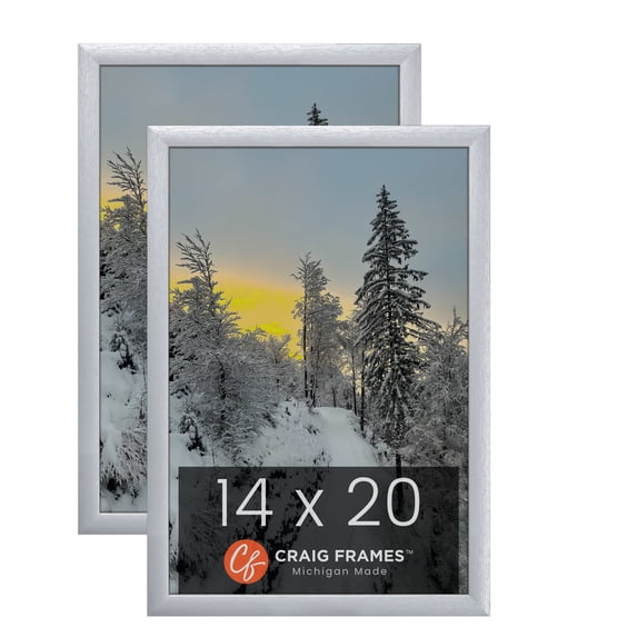 Craig Frames 23247018 14 x 20 Inch Picture Frame, Brushed Silver, Set of 2