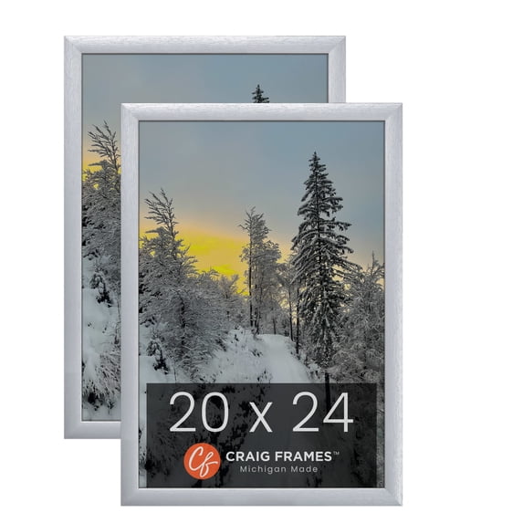 Craig Frames 23247018 20 x 24 Inch Picture Frame, Brushed Silver, Set of 2