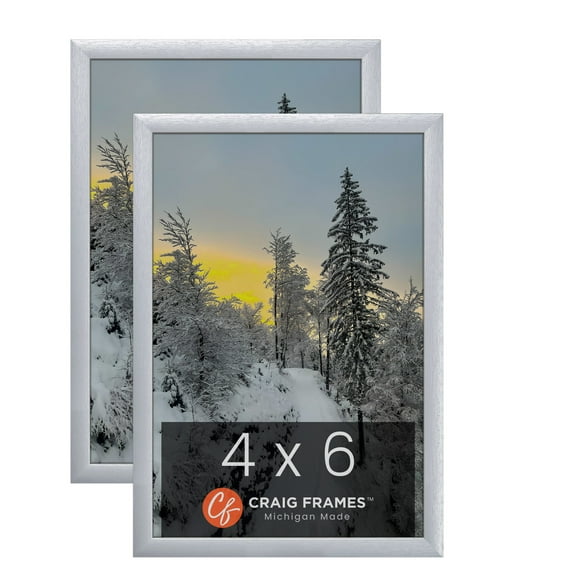Craig Frames 23247018 4 x 6 Inch Picture Frame, Brushed Silver, Set of 2