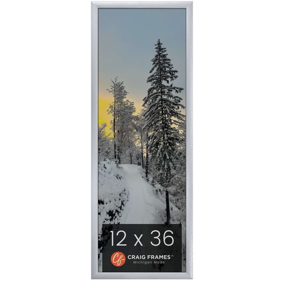Craig Frames 23247018 Picture Frame, 12x36 inch, Brushed Silver