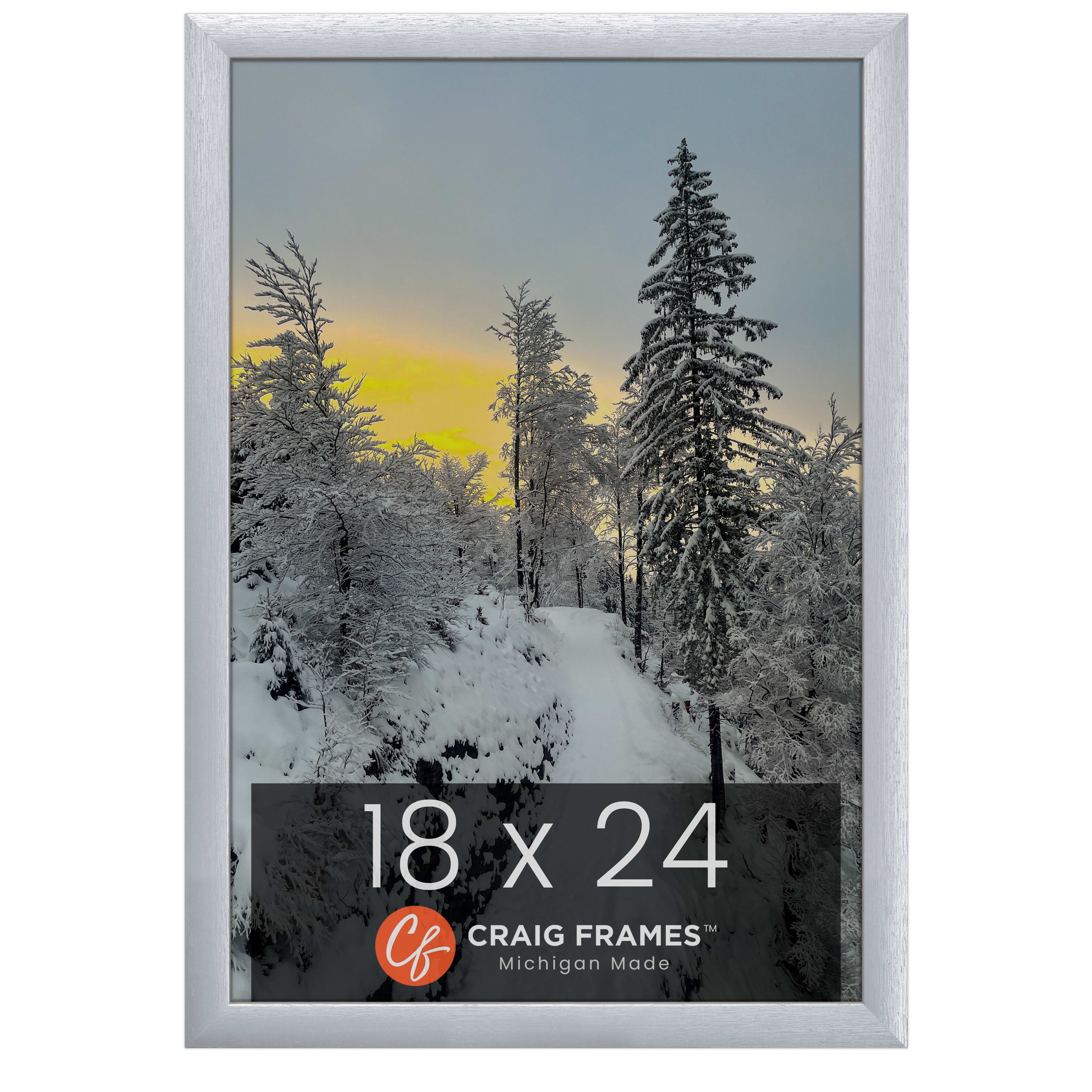 Craig Frames 23247018 Picture Frame, 18x24 inch, Brushed Silver