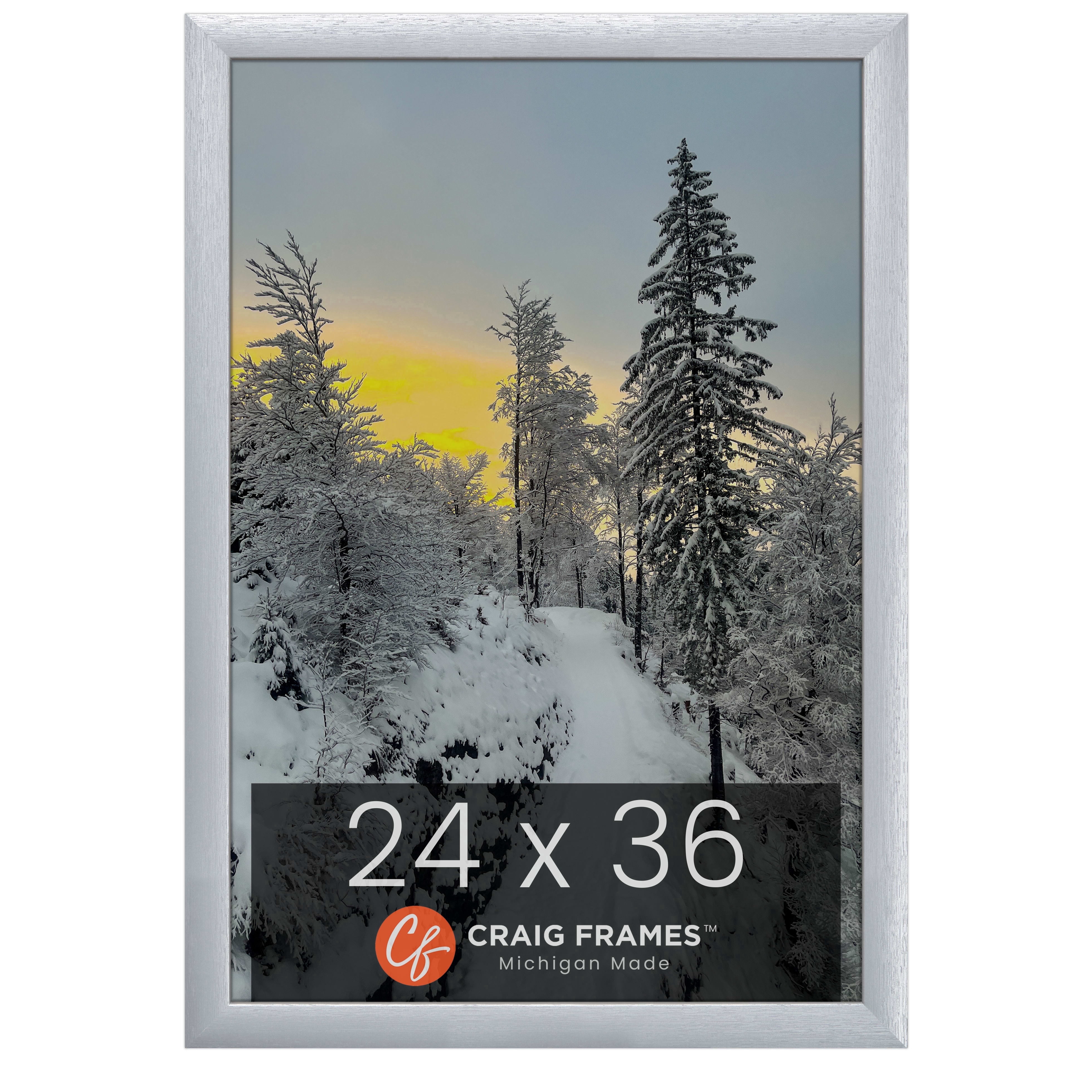 Craig Frames 23247018 Picture Frame, 24x36 inch, Brushed Silver ...
