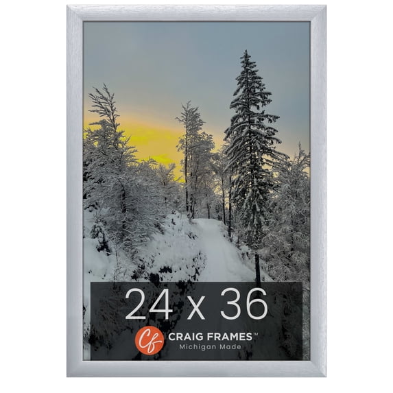 Craig Frames 23247018 Picture Frame, 24x36 inch, Brushed Silver